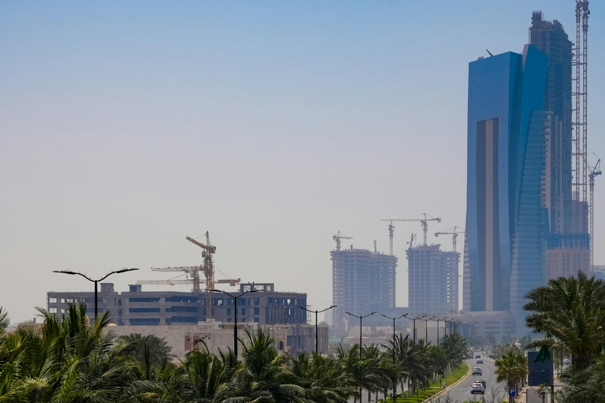 Government Entities